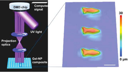 可用于疾病診斷和治療的3D打印微型機(jī)器人