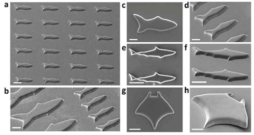 可用于疾病診斷和治療的3D打印微型機(jī)器人