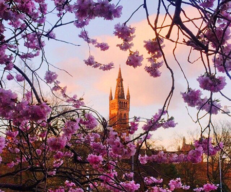 英國：STEAM教育中值得推薦的高校