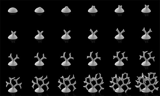 Nervous System模擬花朵生長(zhǎng)形狀的3D打印珠寶首飾