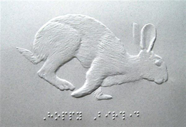 3D打印識字工具幫助視障孩子學(xué)習(xí)韓文字母