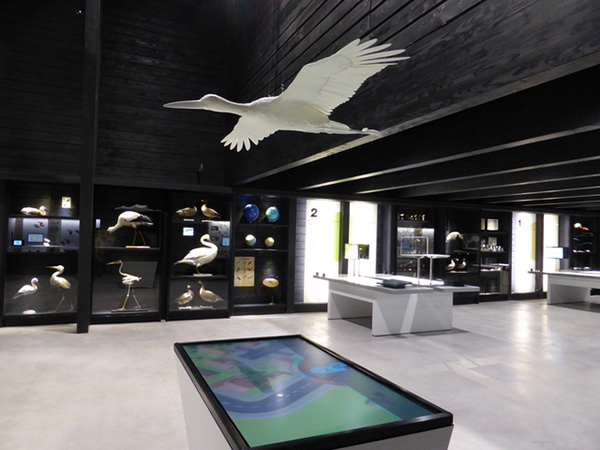 比利時(shí)Zwin自然保護(hù)區(qū)用3D打印鳥迎接游客