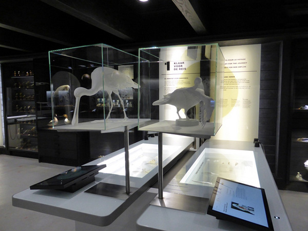 比利時(shí)Zwin自然保護(hù)區(qū)用3D打印鳥迎接游客