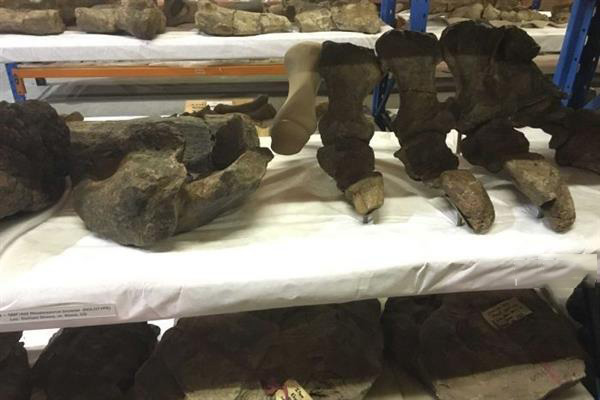 澳洲昆士蘭計(jì)劃3D打印巨型雷龍吸引觀光客