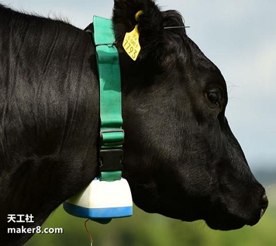 穿戴科技降臨牧場(chǎng)：3D打印的奶牛智能項(xiàng)圈