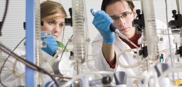 荷蘭開辦組織工廠發(fā)展3D生物打印技術