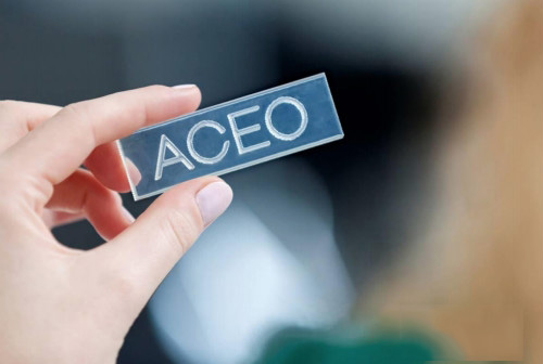 Wacker在美國(guó)推出硅膠3D打印技術(shù)