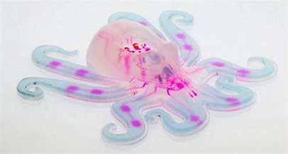 全球首個(gè)全軟體機(jī)器人面世 機(jī)器人技術(shù)再次突破