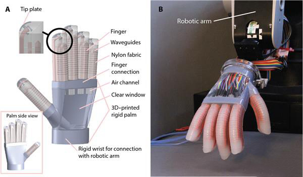 能像人手一樣去感知的柔性3D打印機(jī)械手亮相