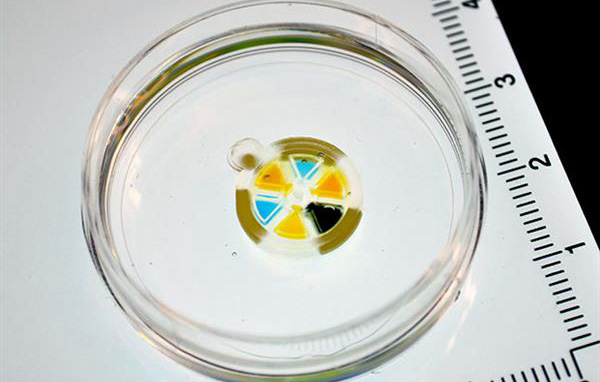 3D打印植入物biobots可以在體內(nèi)分配藥物劑量