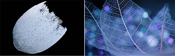 個(gè)性化定制3D打印燈罩 美出新高度