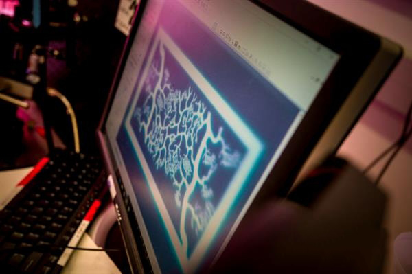 UCSD研究人員自制快速UV生物3D打印機造血管網(wǎng)絡(luò)