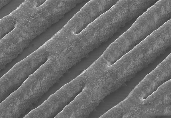 科學(xué)家開(kāi)發(fā)出世界首個(gè)兼具供能和冷卻功能的3D打印液體電池