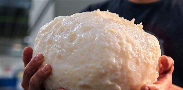 美國大學(xué)3D打印Psyche小行星模型，為NASA任務(wù)做準(zhǔn)備