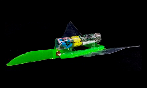 靠電磁場靈活驅(qū)動的軟機(jī)器人