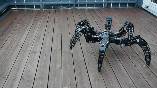 體型輕盈走位靈活 工程師制作狼蛛全地形機器人