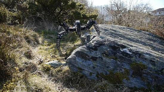 體型輕盈走位靈活 工程師制作狼蛛全地形機器人