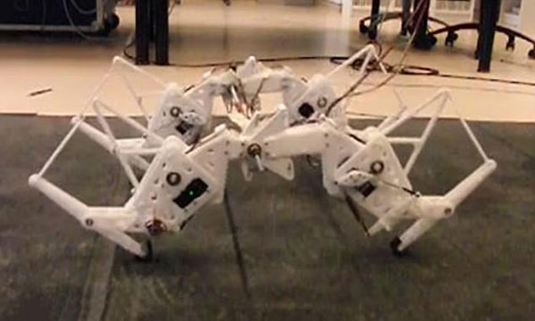 荷蘭研究人員研發(fā)出四腿機(jī)器人 靈感來(lái)自印度豹