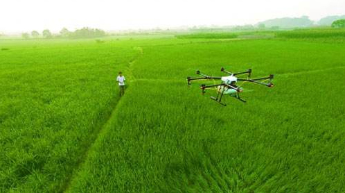 一天作業(yè)可達(dá)800畝 植保無人機助力農(nóng)民致富