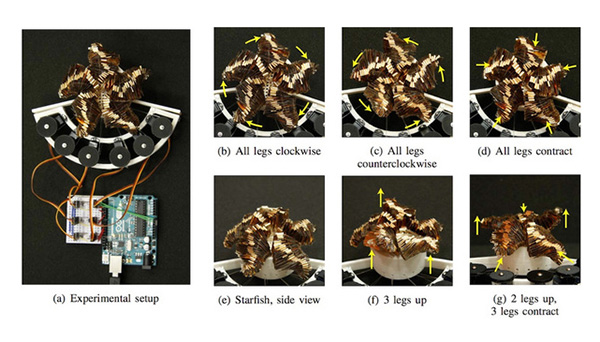 科學(xué)家發(fā)明可在熱水中自動(dòng)折疊的軟體機(jī)器人
