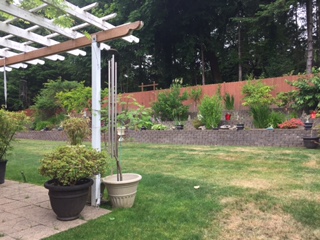 專家老師親赴營地率先探訪 開啟西雅圖研學(xué)時光