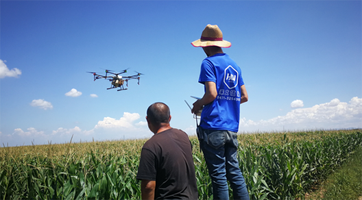 內(nèi)蒙古自治區(qū)呼和浩特土默特左旗突發(fā)紅蜘蛛蟲害，當?shù)亓帜翗I(yè)局7月31日的統(tǒng)計數(shù)據(jù)顯示：120萬畝玉米中有76萬畝受災(zāi)。估計將會造成10-70%的減產(chǎn)。當?shù)剞r(nóng)民對此也曾非常悲觀，玉米的間隙已經(jīng)很小、人工與地面植保機械已經(jīng)無法作業(yè)，他們認為能有50%的收成就不錯了。但植保無人機的到來讓情況變得樂觀，一架無人機一天可以防治300畝面積，現(xiàn)在有50架無人機在作業(yè)。預計可以保住70-80%的產(chǎn)量。8月9日，環(huán)球網(wǎng)無人機記者跟隨大疆MG-1S農(nóng)業(yè)無人機現(xiàn)場感受作業(yè)場景。  現(xiàn)場：大疆農(nóng)業(yè)無人機MG-1S農(nóng)藥噴灑