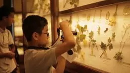 解決“游學(xué)焦慮癥”，只需這一招