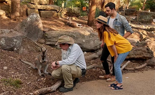在青春好時(shí)光，來一場(chǎng)研學(xué)旅行吧！——2019澳洲研學(xué)營(yíng)報(bào)名模式已開啟