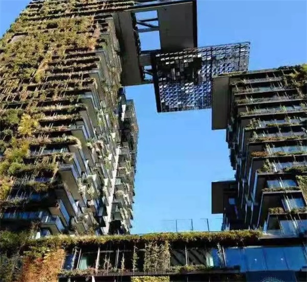 在青春好時(shí)光，來一場(chǎng)研學(xué)旅行吧！——2019澳洲研學(xué)營(yíng)報(bào)名模式已開啟