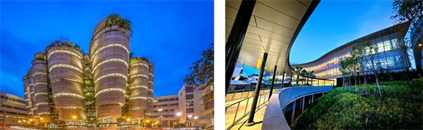 在新加坡南洋理工學習雙語編程，給孩子一個不一樣的寒假！ 