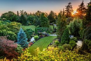 2019暑假加拿大多倫多大學(xué)編程研學(xué)營，在世界名校學(xué)習(xí)專屬前沿編程課程！ 