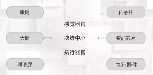 一節(jié)小學生也能聽懂的專業(yè)課：機器人和物聯(lián)網(wǎng)是怎么協(xié)同工作的？