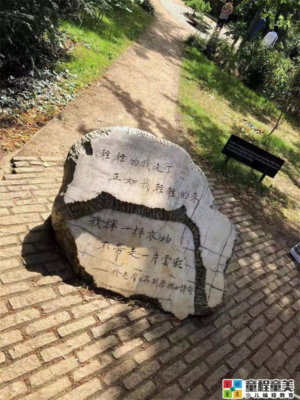 2019童程童美國際編程研學(xué)營圓滿收官，500名學(xué)員點亮名校夢！