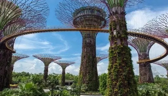 2020寒假新加坡國立大學人工智能科技研學營報名開啟！