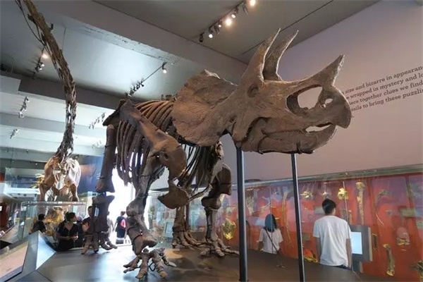 2020年寒假童程童美·美國圣地亞哥中小學(xué)插班研學(xué)營報名開啟